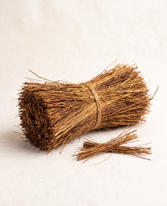 Coco Bristle