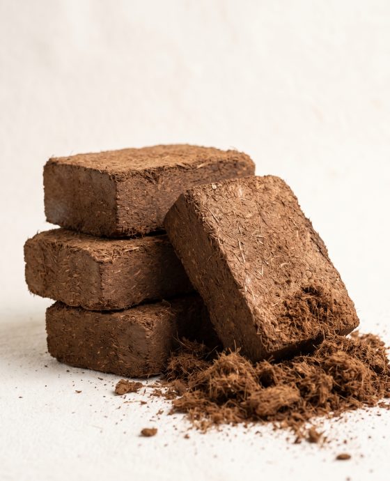 Cocopear Block