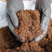 Cocopeat blocks stacked on pallet