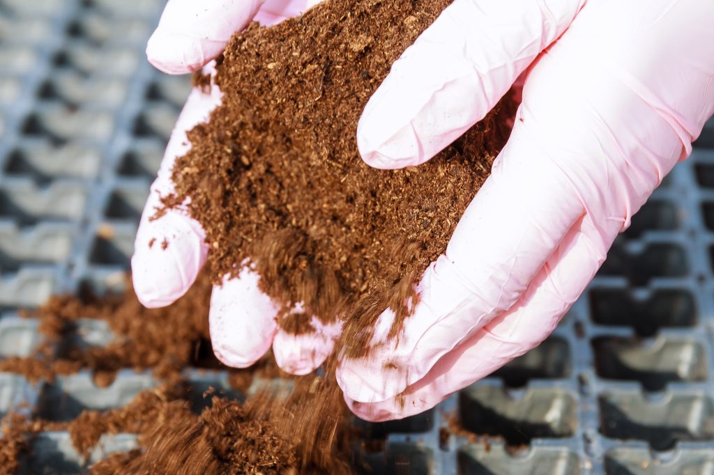 Why Cocopeat Is the Future of Sustainable Growing Media
